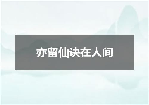 亦留仙诀在人间