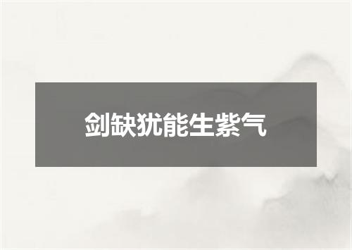 剑缺犹能生紫气