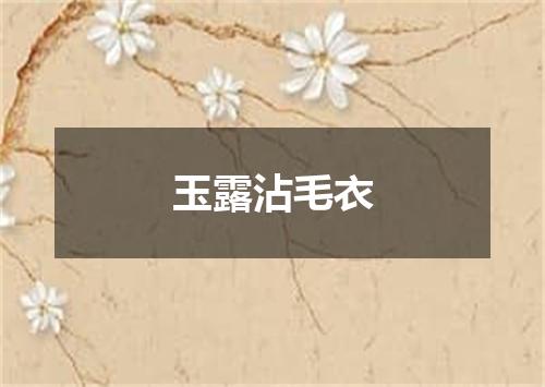玉露沾毛衣