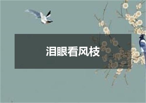 泪眼看风枝