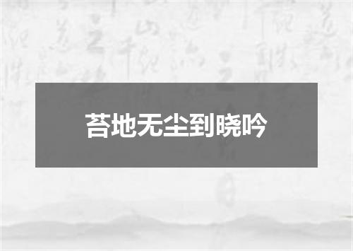 苔地无尘到晓吟