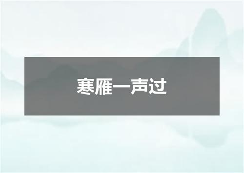 寒雁一声过