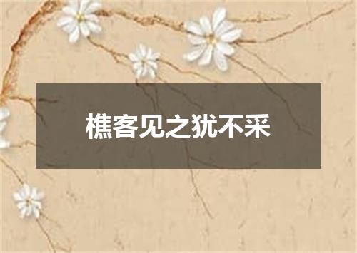 樵客见之犹不采