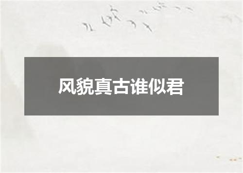 风貌真古谁似君