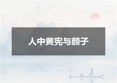 人中黄宪与颜子