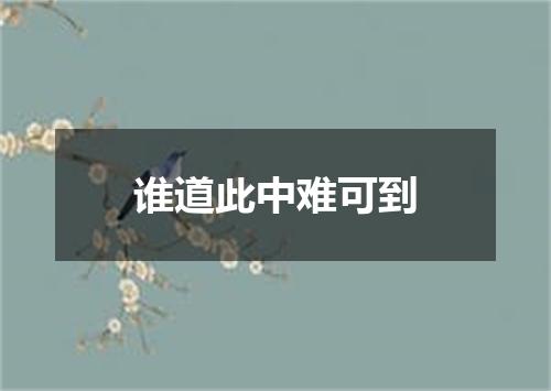 谁道此中难可到