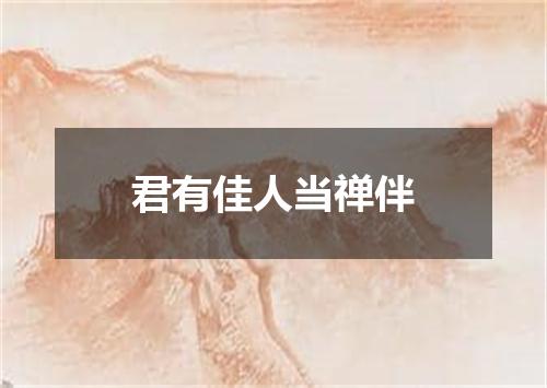 君有佳人当禅伴
