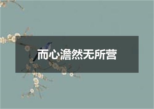 而心澹然无所营