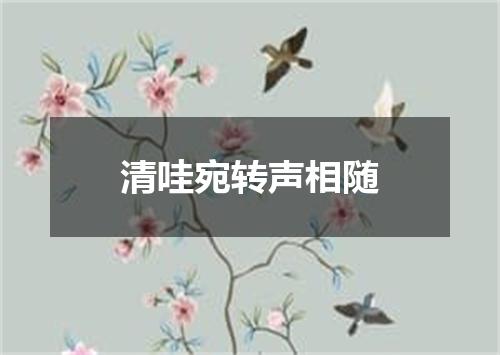 清哇宛转声相随
