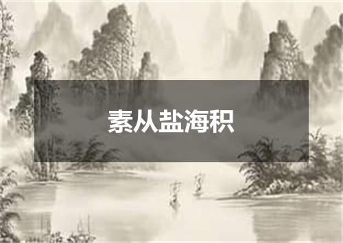 素从盐海积