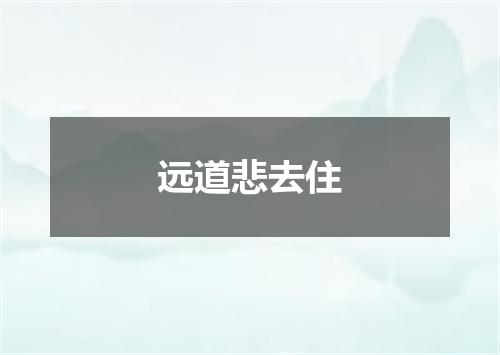远道悲去住