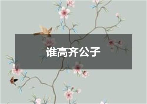 谁高齐公子