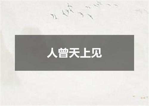 人曾天上见