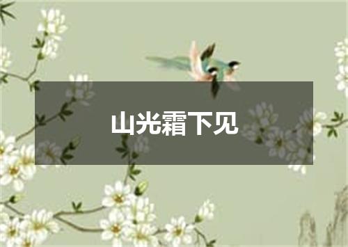 山光霜下见
