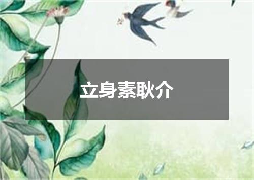 立身素耿介