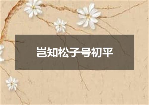 岂知松子号初平