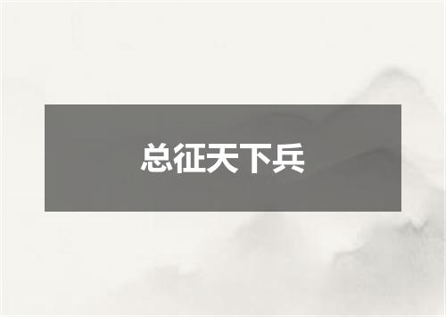 总征天下兵