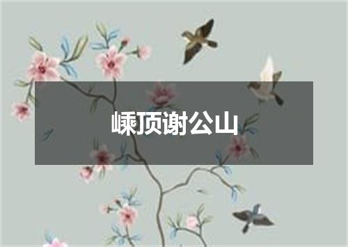 嵊顶谢公山