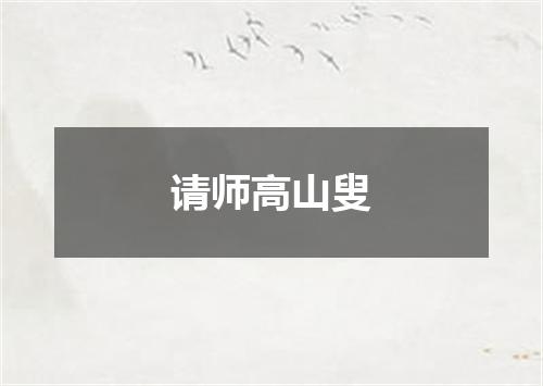 请师高山叟