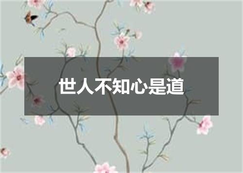 世人不知心是道
