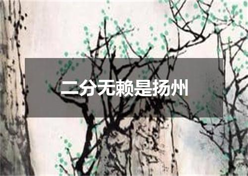 二分无赖是扬州