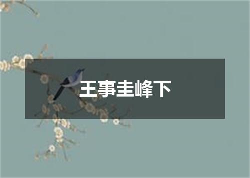 王事圭峰下