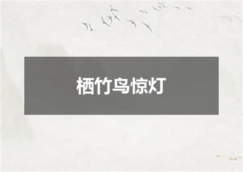 栖竹鸟惊灯
