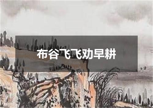 布谷飞飞劝早耕