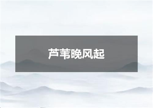 芦苇晚风起