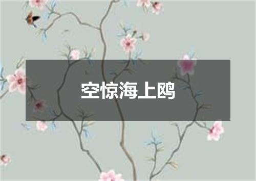 空惊海上鸥