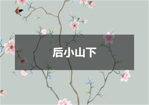 后小山下