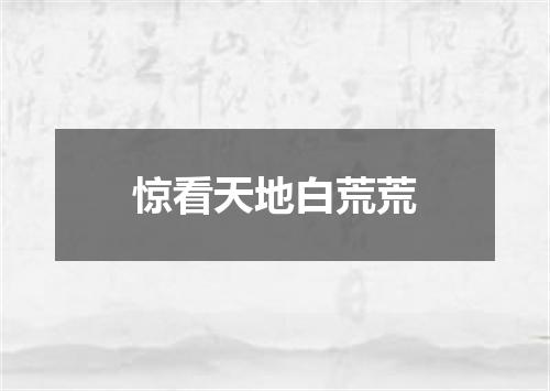 惊看天地白荒荒