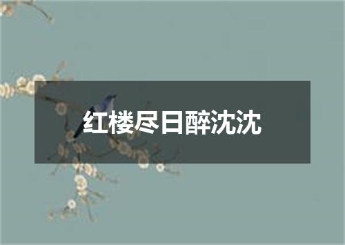 红楼尽日醉沈沈