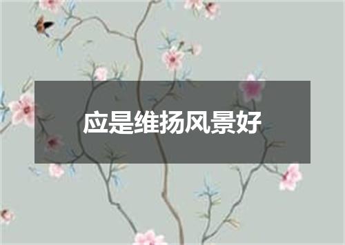 应是维扬风景好