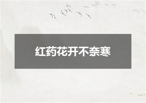 红药花开不奈寒