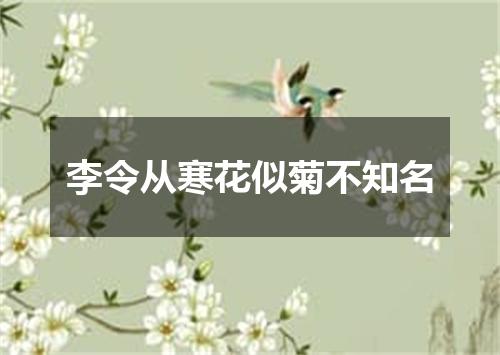 李令从寒花似菊不知名