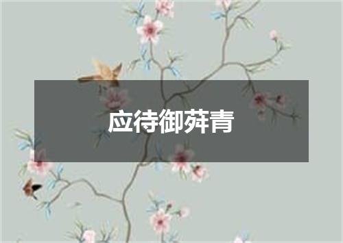 应待御荈青