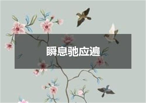 瞬息驰应遍