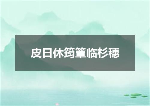 皮日休筠簟临杉穗