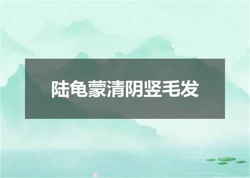 陆龟蒙清阴竖毛发