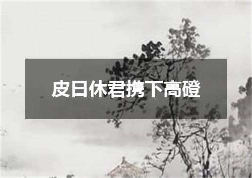 皮日休君携下高磴