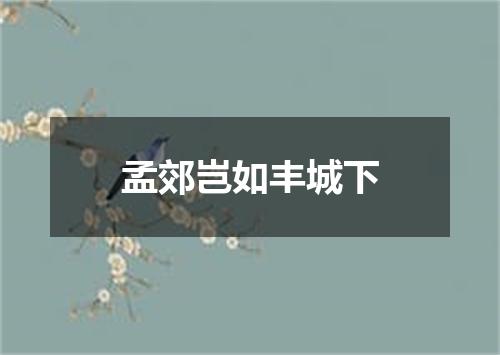 孟郊岂如丰城下
