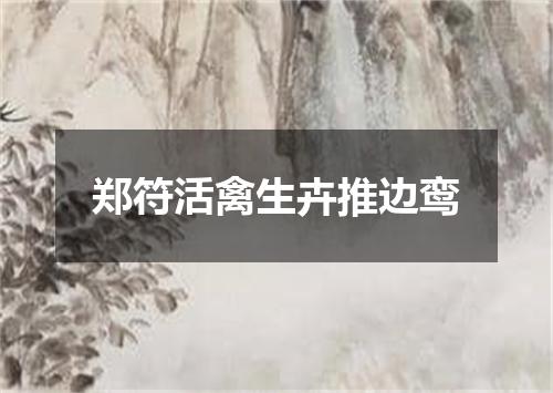 郑符活禽生卉推边鸾
