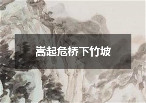 嵩起危桥下竹坡