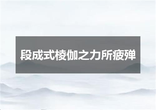 段成式棱伽之力所疲殚