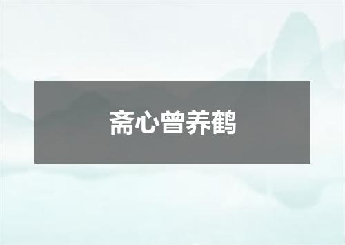 斋心曾养鹤