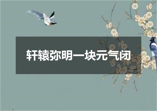轩辕弥明一块元气闭