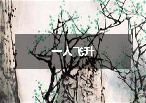 一人飞升