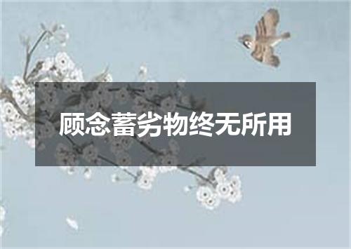 顾念蓄劣物终无所用