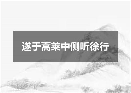 遂于蒿莱中侧听徐行
